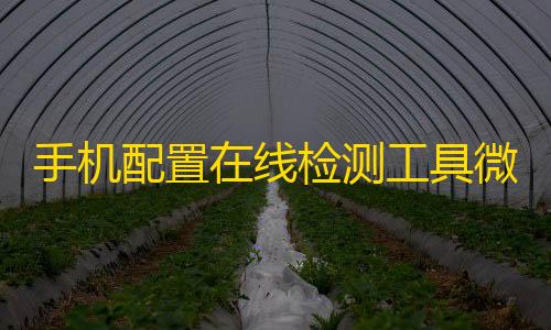 小懒猫挂机开挂神器下载手机配置在线检测工具微信小程序源码